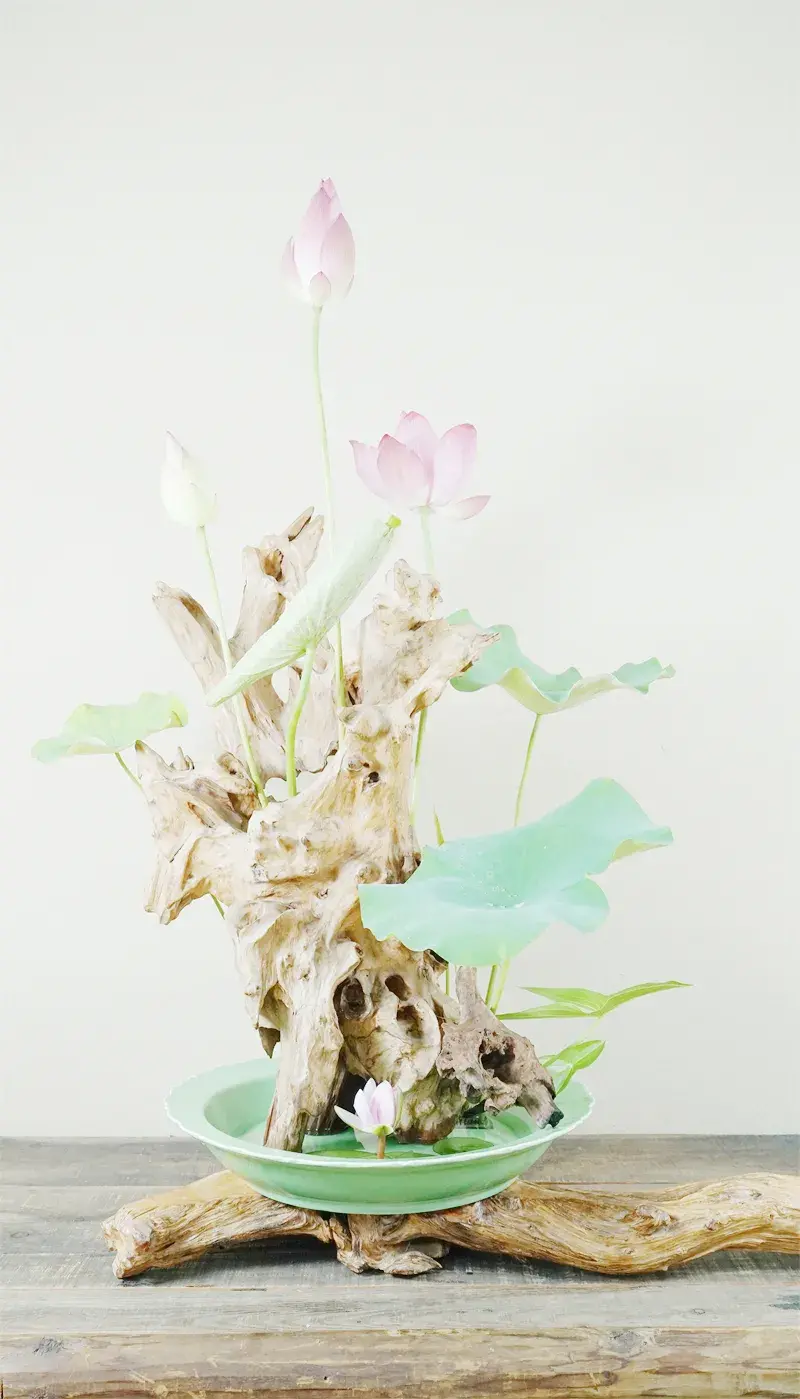 荷花插花美图第二波来袭，你最心仪哪一款？（荷花瓶插怎么养）