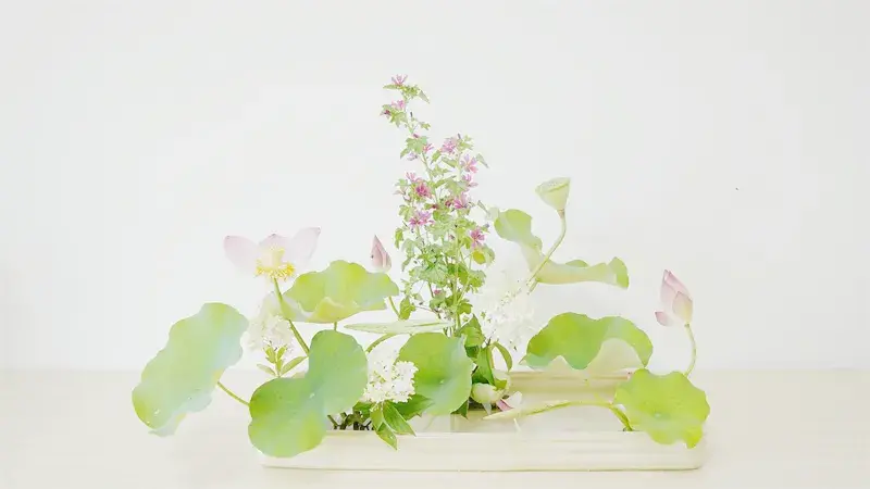 荷花插花美图第二波来袭，你最心仪哪一款？（荷花瓶插怎么养）