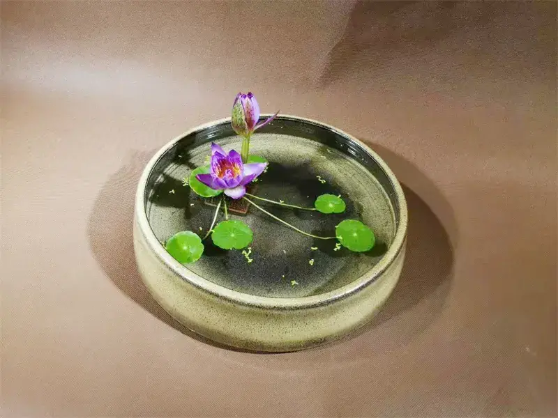 荷花插花美图第二波来袭，你最心仪哪一款？（荷花瓶插怎么养）