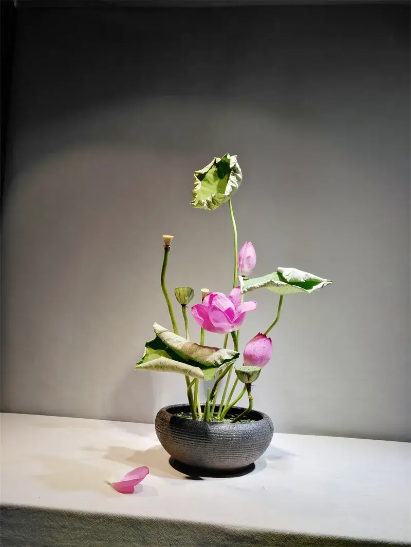 荷花插花美图第二波来袭，你最心仪哪一款？（荷花瓶插怎么养）