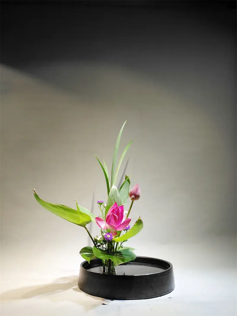 荷花插花美图第二波来袭，你最心仪哪一款？（荷花瓶插怎么养）