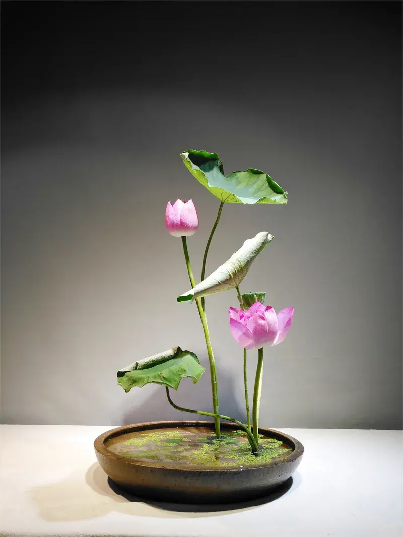 荷花插花美图第二波来袭，你最心仪哪一款？（荷花瓶插怎么养）