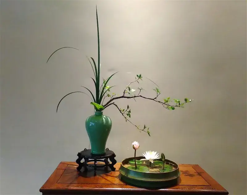 荷花插花美图第二波来袭，你最心仪哪一款？（荷花瓶插怎么养）