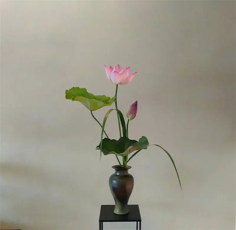 荷花插花美图第二波来袭，你最心仪哪一款？（荷花瓶插怎么养）