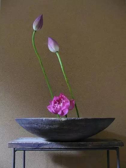 花道｜插莲，莲花之意，唯有清心方可体会！（莲花图画优秀作品）