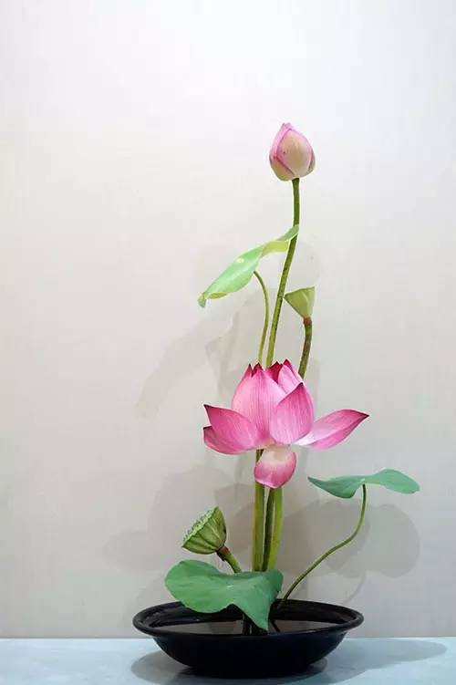 花道｜插莲，莲花之意，唯有清心方可体会！（莲花图画优秀作品）