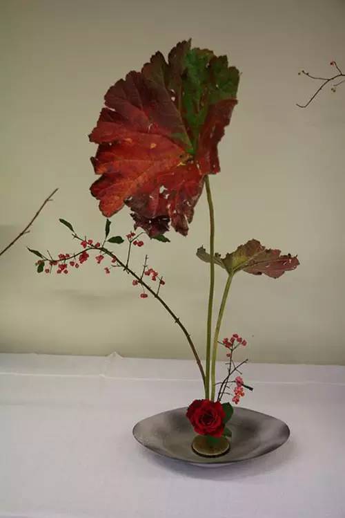 花道｜插莲，莲花之意，唯有清心方可体会！（莲花图画优秀作品）