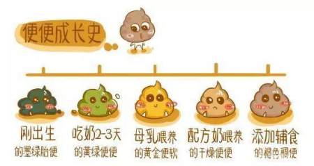 凶猛！这种“夏季腹泻”可能要娃的小命！如何呵护宝宝肠道健康？（夏季小儿腹泻是什么病毒感染）