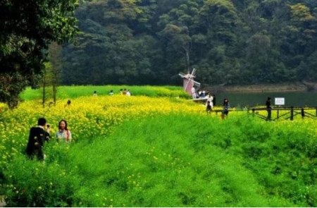 4月5号清明节，家中备好这“3食1酒”，传承传统，平安顺遂（清明里面的酒家是什么意思）