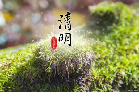 4月5日清明节，不管多忙，这5种食物别忘吃！祖宗的老传统不能丢（清明节的时候吃什么）