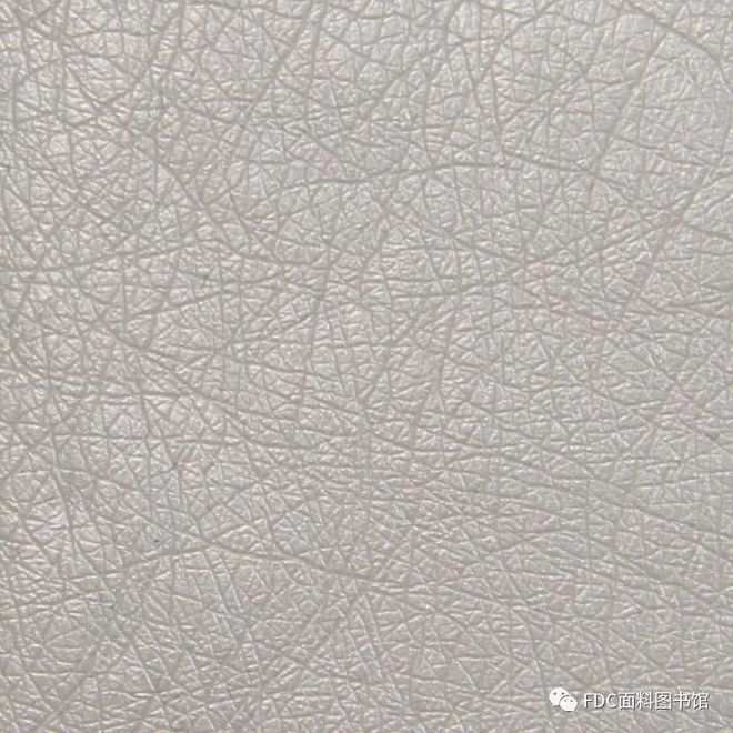戏剧影视《伊丽莎白：黄金时代》服装面料指南-伊丽莎白:黄金年代
