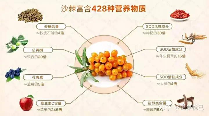 你绝对想不到，沙棘原浆对儿童还有这么多的好处！（小孩能喝沙棘原浆吗?）