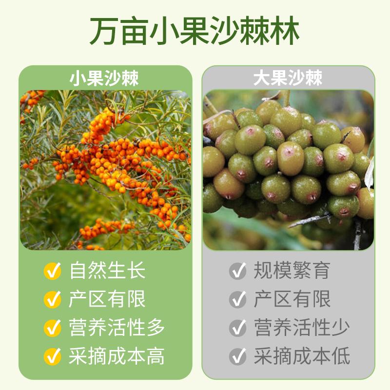 哪里的沙棘原浆质量最好？（沙棘原浆第一品牌）