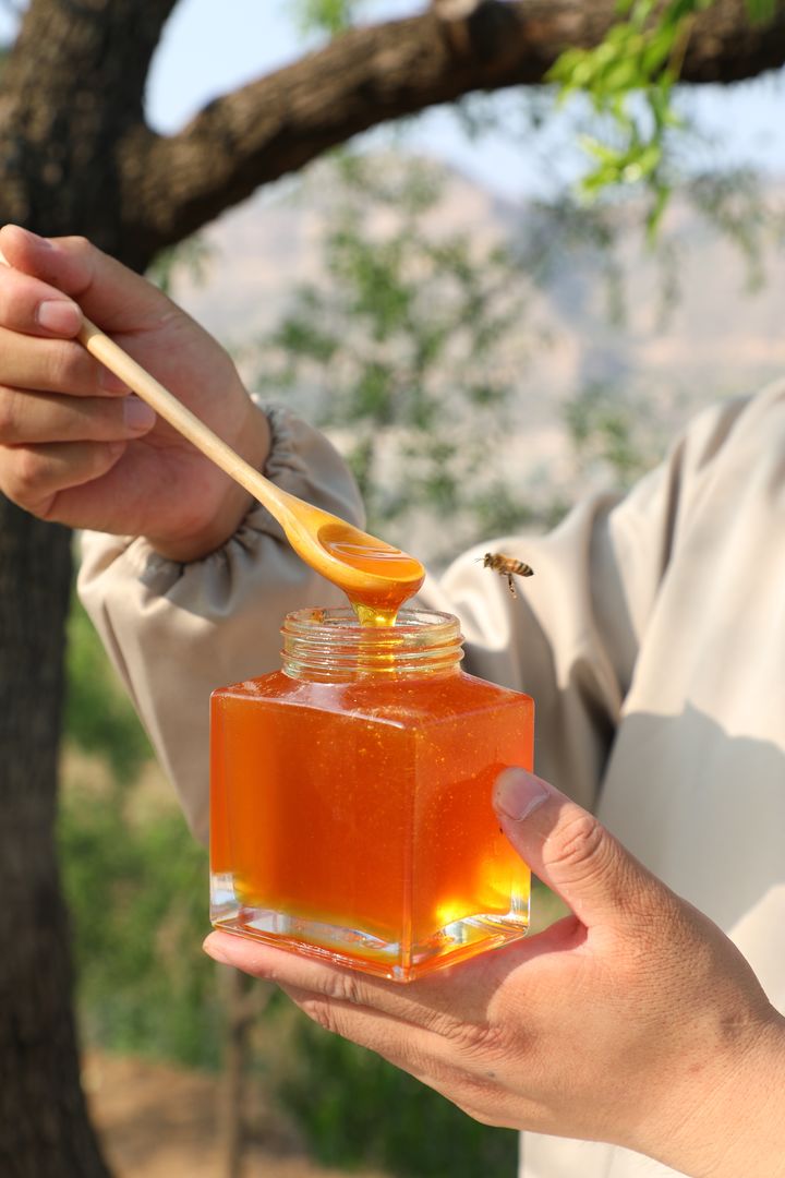 枣花蜜的功效与作用及禁忌?枣花蜜适合什么人群?（枣花蜜的作用与功效及食用方法禁忌）
