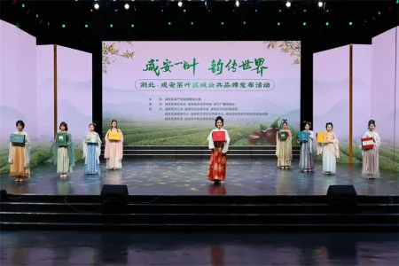 湖北咸安茶叶区域公共品牌“咸安桂茶”诞生-咸安砖茶的种植时间和地点