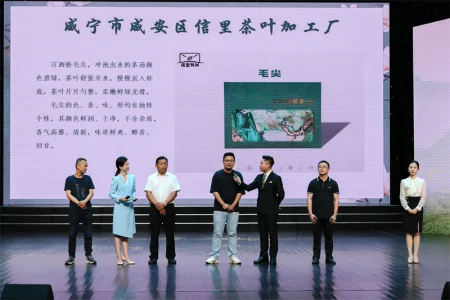 湖北咸安茶叶区域公共品牌“咸安桂茶”诞生-咸安砖茶的种植时间和地点
