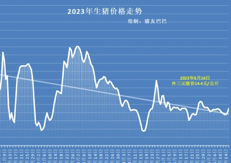 平地惊雷！猪价终于涨了，上涨原因是啥？端午仅是其中之一！（猪价暴涨是哪一年）