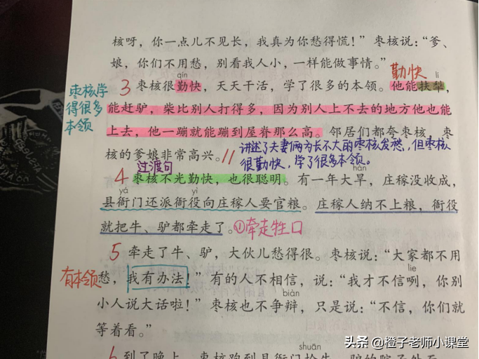 三年级课本《枣核》，语文老师整理笔记，体会枣核聪明勇敢-枣核课文三年级下册视频