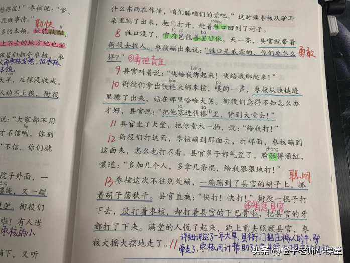 三年级课本《枣核》，语文老师整理笔记，体会枣核聪明勇敢-枣核课文三年级下册视频