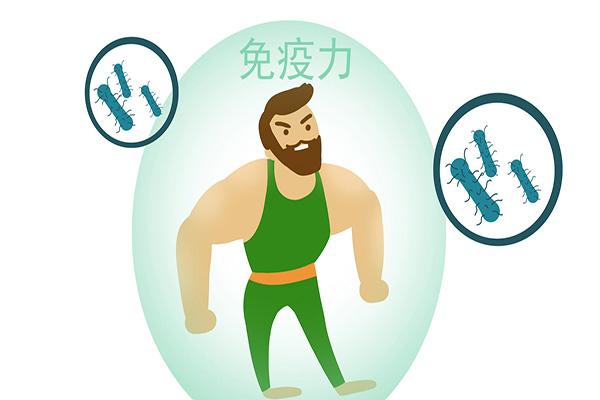 1个榴莲顶3只鸡，爱吃榴莲的人，身体得到了什么？是好是坏？（一只榴莲真的抵一只母鸡吗）