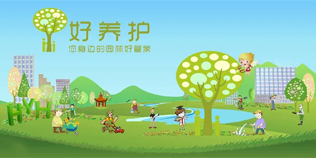 十种“富贵”花，庭院栽一棵，好养又吉祥！（富贵养花人断更）