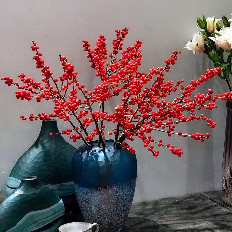 4种“贵族花”，漂亮又难养，价格上千元，养不了一年（比较贵族的名字）