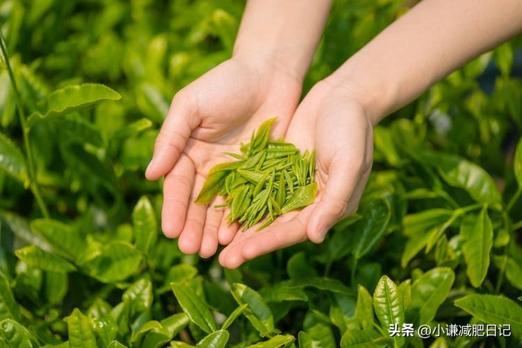 让我瘦了20斤的，夏季7天最方便的减肥法，非常有用（九秩荣庆是什么意思?）