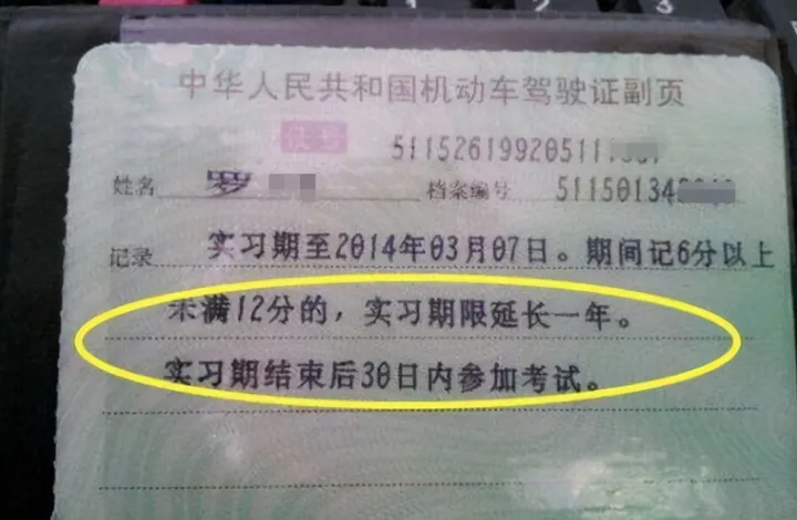 从今日起，机动车驾照将出现大变化，有驾照的都来了解一下-机动车驾驶证样本图片