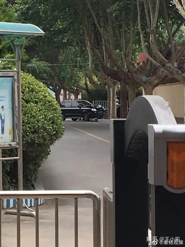 小学生校内被撞身亡，莲湖区教育局分管副局长停职，涉事校长免职-莲湖区教育局书记李丛简历