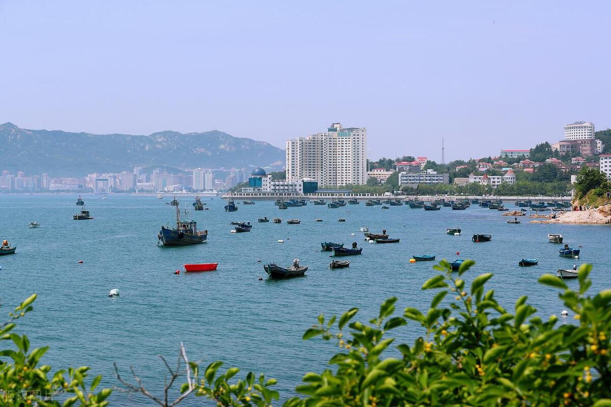 “国内10大宜居城市”榜单出炉，海滨城市纷纷上榜，青岛杀出重围（2020中国十大宜居城市信阳）