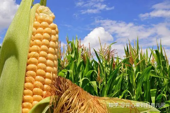 2021新生儿爆款名字出炉，霸榜5年的名字，新手父母别再给娃用了-新生儿宝宝名字大全,年度名字排行榜