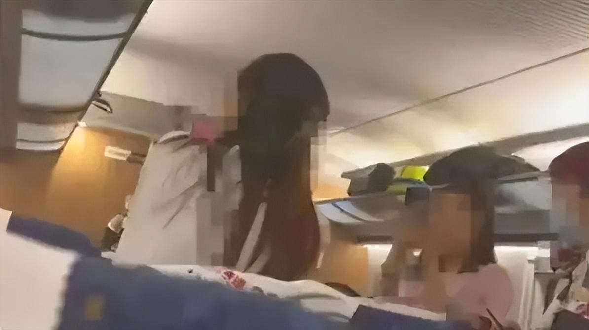 “高铁掌掴”案反击女子被认定“互殴”，为何引发热议？-高铁打架事件处理结果