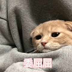 【温馨提示】台风“利奇马”要来官方发声：下雨才是真的！（台风“利奇马”）
