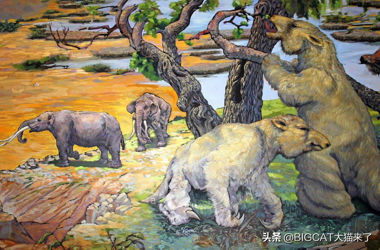 地球史上最大的地懒：行动缓慢只吃素，却可轻松吓跑剑齿虎（地球上最大的物种是什么）