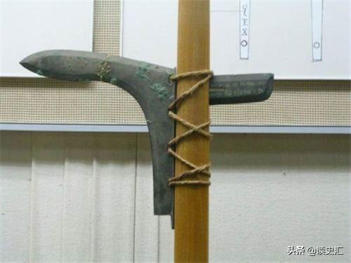 距今9000年前，沃姆冰河时期，人类围捕剑齿虎的手段揭秘（中国最早的葡萄酒出现在哪个时期）