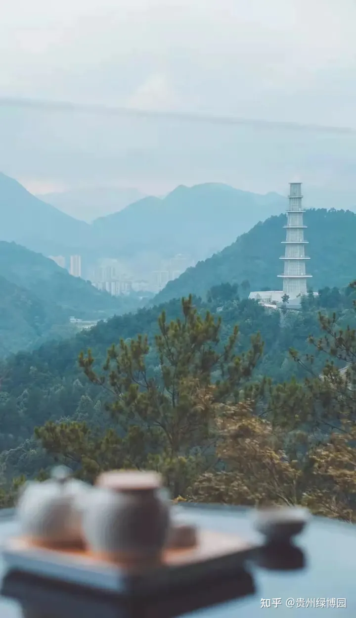 尾款人的酒店福利，99元即可入住都匀台酒店-都匀台酒店招聘