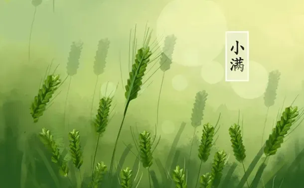 二十四节气——小满的来历和风俗（小满节气的含义是什么?二十四节气小满的来历传说故事）