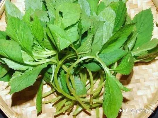 什么是小满？（grain brewing）