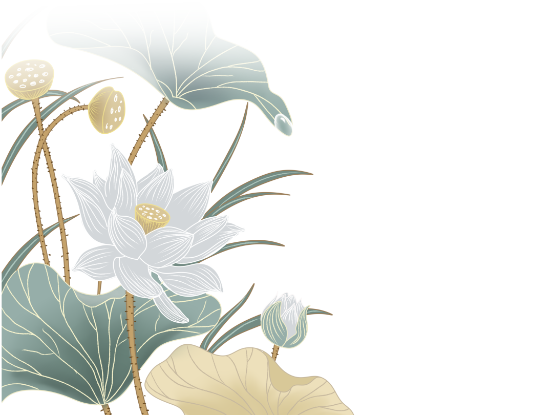 【四季守护·二十四节气】小满（四季二十四节气顺序）