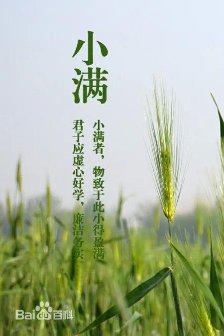 【四季守护·二十四节气】小满（四季二十四节气顺序）