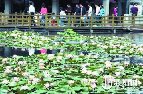 小满节气具体几月几日几时 2018小满图片小满是什么意思（小满节气秒懂百科）