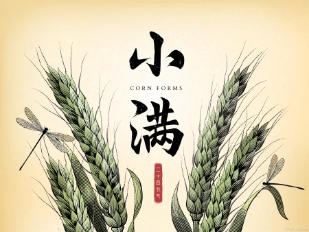 小满节气，天越来越热了，别忘吃这“健脑菜”，清热除湿补营养（小满节气喝什么汤好）