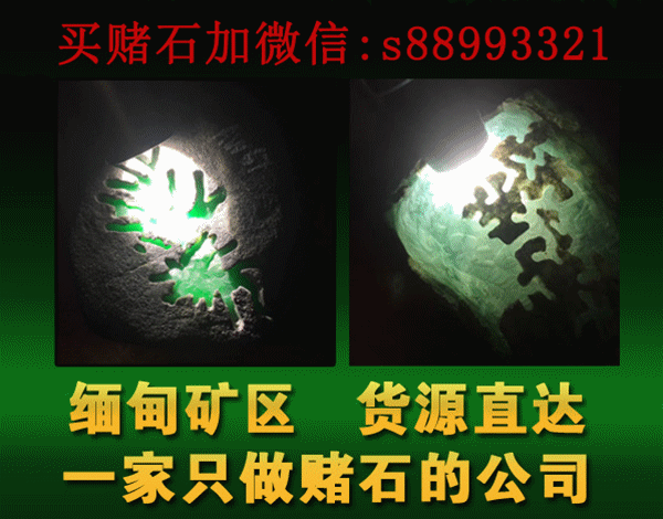 毫不犹豫拿下翡翠原石，切出高品质的墨翠，成品戒面惊艳！（墨翠切皮后图片）
