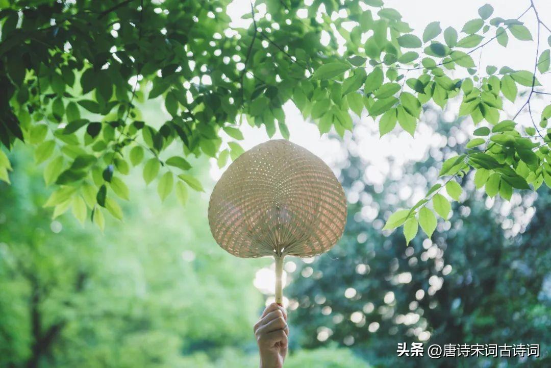不觉间，已夏至-不觉夏已深上一句
