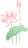第甘四节气之十丨夏至-夏至是廿四节气的第几个节气?