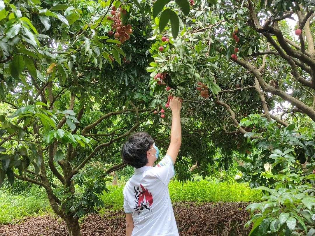 致中塘村的中小学生：炎炎夏日，让我们和红星火一起与科技撞个满怀吧！（中塘祠堂最新消息）