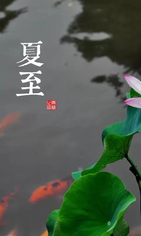 6 月 21 日 17 时 14 分迎来夏至，你对夏至都有哪些了解？-夏至是6月21还是6月22