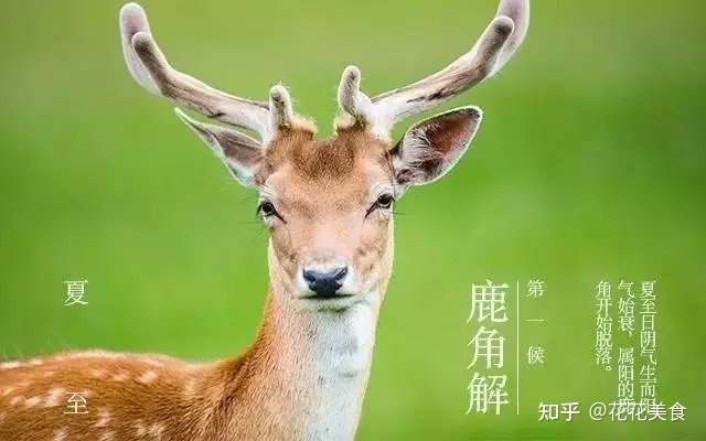 【二十四节气·夏至】日北至，日长之至，日影短至，故曰夏至-夏至日的昼夜情况
