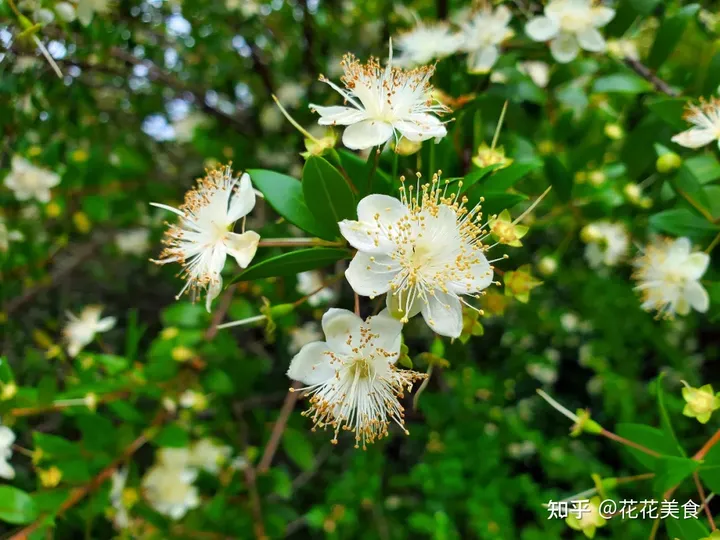 【二十四节气·夏至】日北至，日长之至，日影短至，故曰夏至-夏至日的昼夜情况