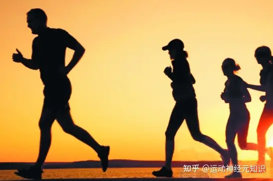 减肥瘦身方法 七天瘦二十斤的好方法（7天减7斤）